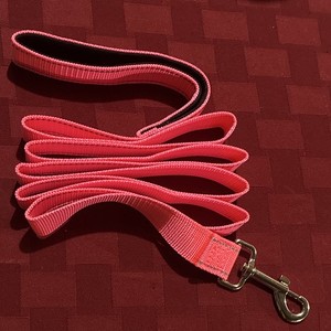 Pink Nylon Standard Dog Leash Sz S/M/L, Padded Handle, Metal Swivel Snap Hook