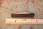 Vintage STAG Ireland Wood 2 Blade Trapper Knife Stainless INOX — photo 6