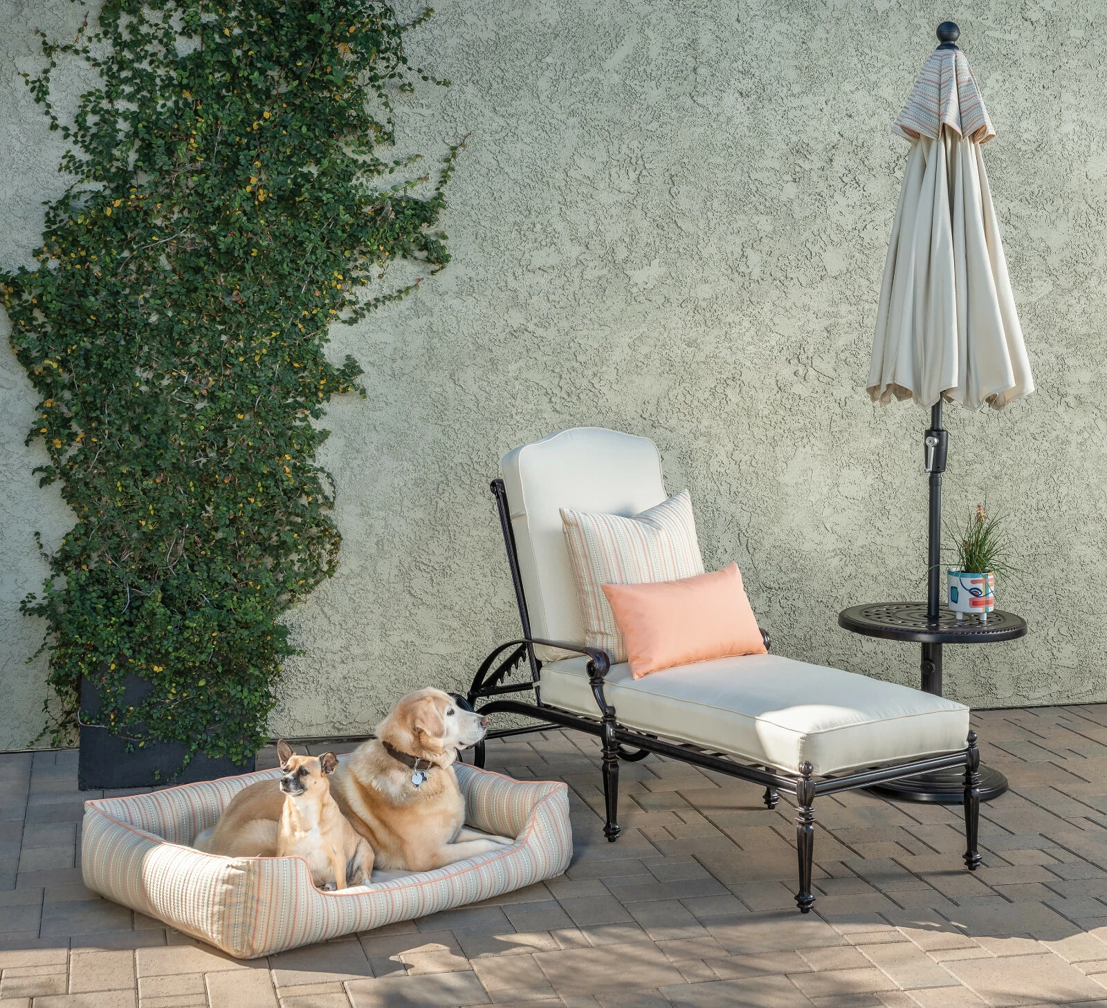 Gensun: Outdoor/Indoor Pet Dog Cat Bed — Fabric Option 3