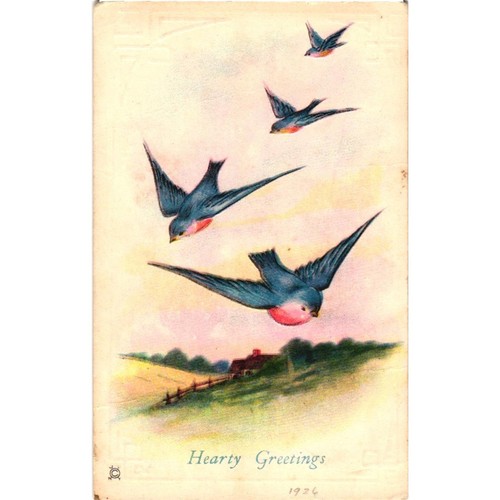 Vintage 1926 Swallow Birds Hearty Greetings Postcard Illustration