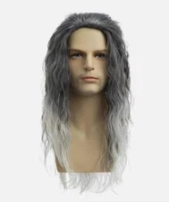 Baruisi Long Curly Wavy Grey Wigs for Men Synthetic Natural Party Halloween 