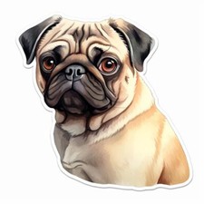 Pug Dog Vinyl Decal Sticker for Car, Laptop, Tumbler and More.  PR-Pug  001138