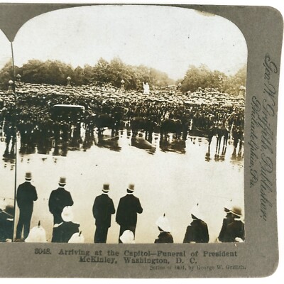 President McKinley's Funeral Parade Stereoview c1901 Washington DC Photo E1473