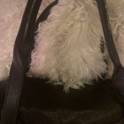 Picture 6 of 12