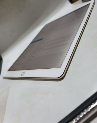 Apple iPad Pro 1st Gen. 128GB, Wi-Fi + Cellular 12.9in | eBay
