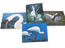Birds Of A Feather blank note cards with envelopes