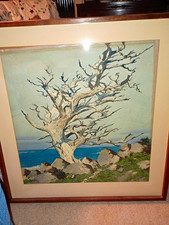 Wind Blown Cypress Painting By James March Phillips Frame Is  28 1/2 X27"