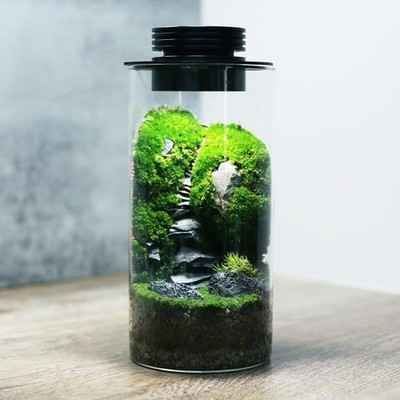 Desktop Glass Plant Terrarium with Grow Light (H:7.8'' D:4''), for Succulent, M...