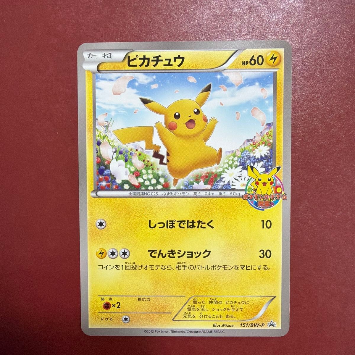Pikachu 2012 Japanese BW-P Promo #151/BW-P Classroom Participation