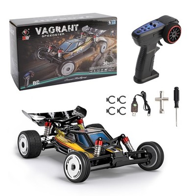 Wltoys 244016 2.4G 1:24 Scale 2WD High Speed Racing Off Road Remote Control Car