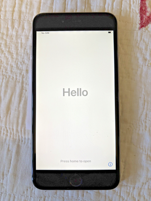 Apple iPhone 6s Plus - 128 GB - Space Gray (Unlocked), 100