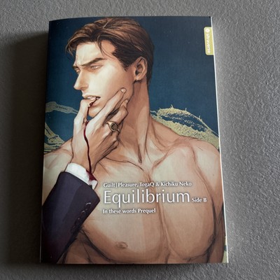 Equilibrium Light Novel - Side B von TogaQ (2019, Taschenbuch)