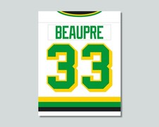 compare to DON BEAUPRE Minnesota North Stars Hockey Photo 8x10 11x14 16x20 JZ