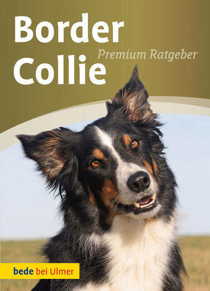 Thumbnail - Border Collie | Annette Schmitt | 2010 | Deutsch