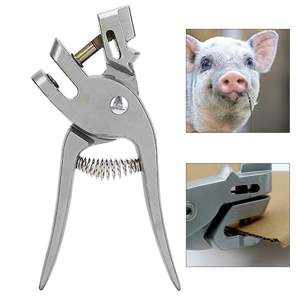 Tagging Pigs Pigs Ear Cleaning Tools