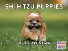 Shih Tzu Puppy Calendar 2026 Shitzu Monthly Wall Calender 12 Month 12x18