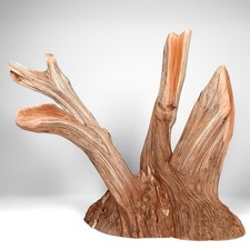 17.5" Manzanita Driftwood "Tree" Prefect for Aquariums, Reptiles and Home Decor