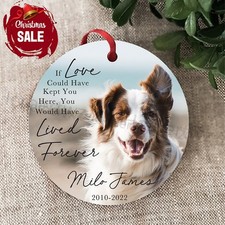 Dog Memorial Ornament with Photo Pet Memorial Ornament Dog Sympathy Gift Dog ...