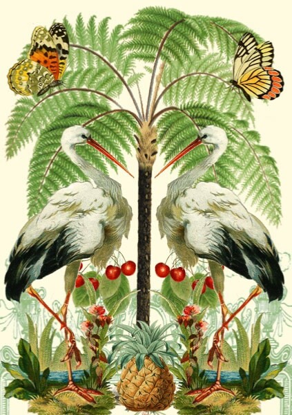 Cranes - Art Blank Greeting / Birthday Card -  Birds Butterflies Palm Vintage