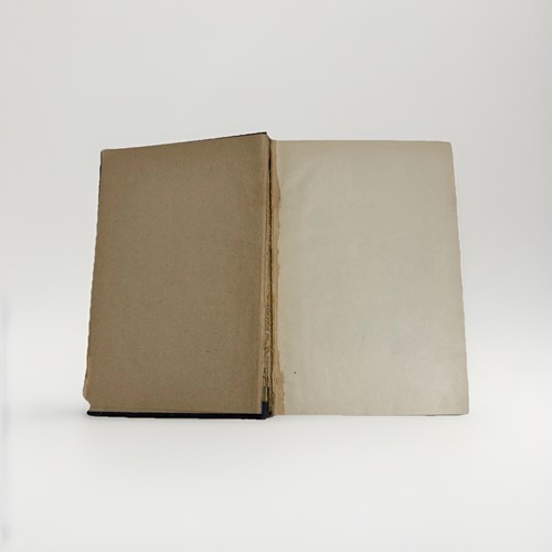 1882 Self Raised From the Depths Emma D.E.N. Southworth Antique Novel HC Lupton - Picture 3 of 9