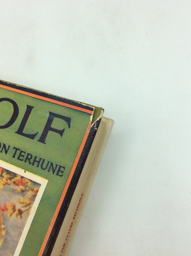 WOLF - Albert Payson Terhune - Rare true 1925 printing in dustjacket and box! - Picture 7 of 9