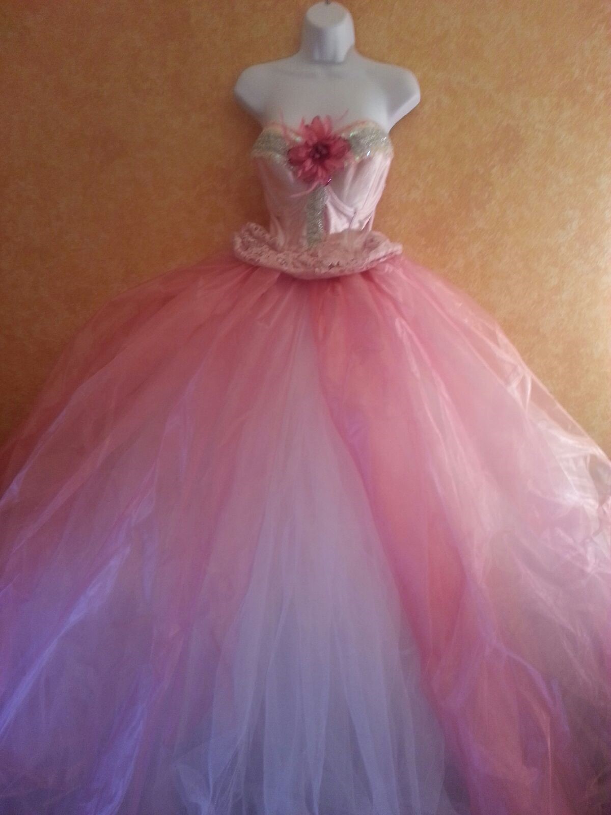 Bild 9 von 12