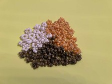 50 Shell Rings White, Yellow, Green, or Mix Mongo Shell Rings