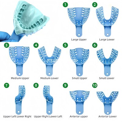 Blue Dental Instruments Tray /Lab Impression Plastic Steel Trays