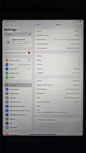 iPad Pro 11 inch verizon wifi + 4G 2nd Gen