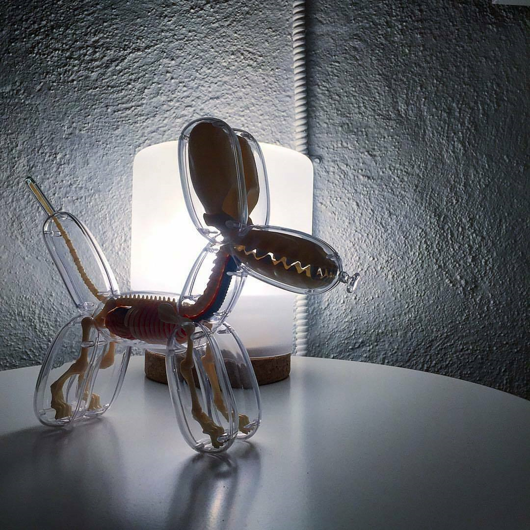 4D Master Jason Freeny Anatomy Transparency Balloon Dog