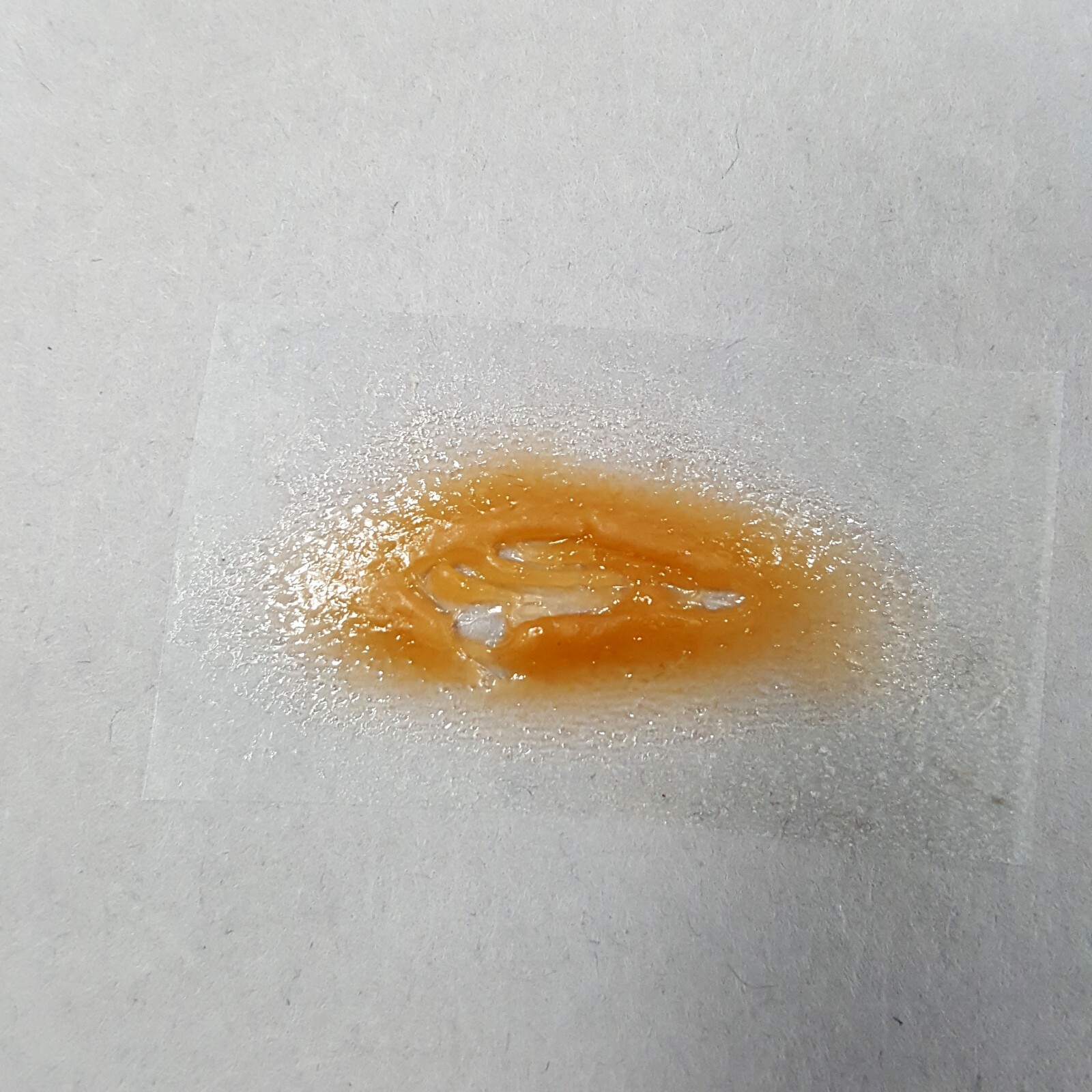 Image 4 of CREED III 3 - Adonis Creed Prosthetic Facial Cut Appliance #4, Production Made