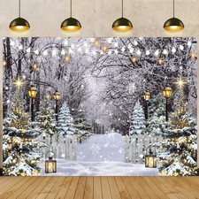 Winter Wonderland Backdrop 10x8FT Winter Snowflake Christmas Tree Forest Scen...