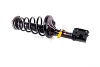 2X GH Federbein Hinterachse, Links, Rechts U.A. FüR Hyundai, KIA