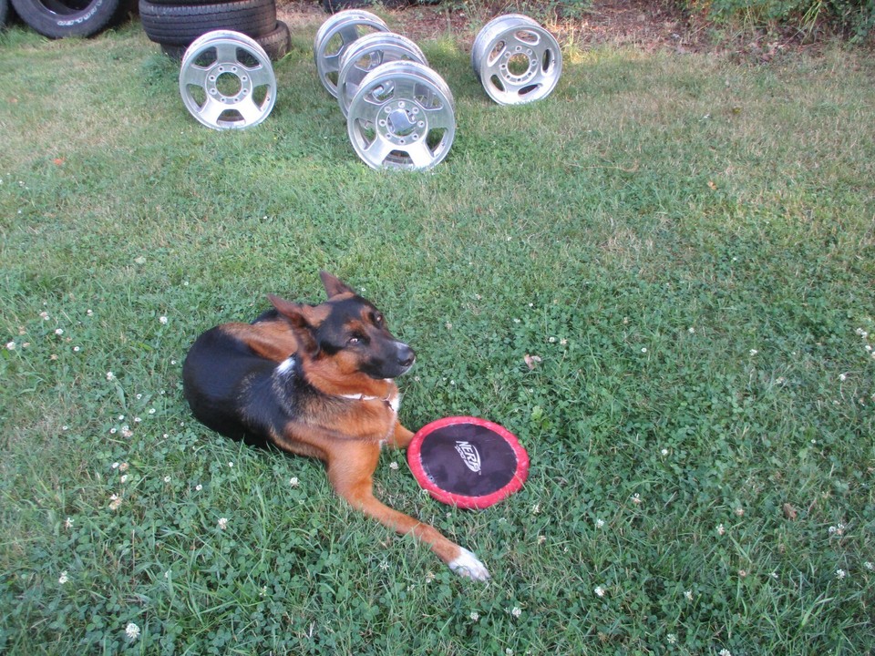 17'' Honda Accord OEM Factory Silver Wheel Rim 20112012 64015 2 eBay