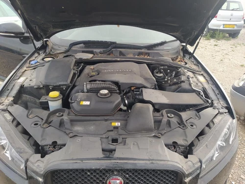 Maneta Exterior Trasera Izquierda para JAGUAR XF 3.0 V6 Diesel Luxury 1707256 - Imagen 4 de 7
