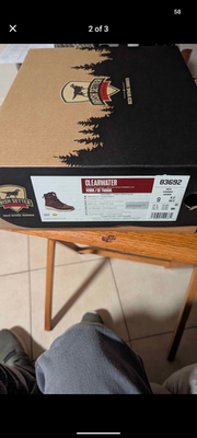 Irish Setter 83692 \
