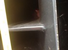 large speaker-athletic field or stadium, very heavy duty (selling 1 ) 3 avail. — photo 3