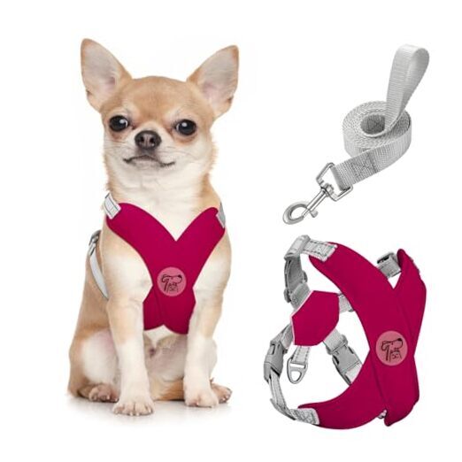 Dog Harness with Leash Set, X S(Neck 12.6-16.5" Chest 12.6-22.8") Magenta