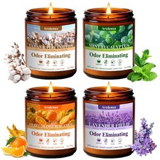 4 Pack Odor Eliminating Candles Set Pet Smoke Food Scent Home Fragrance