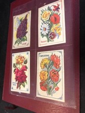 RARE EARLY NORTHAMPTON SEA CADET CORPS FLOWERS TRADE CARDS X4 PARENTS & FRIENDS