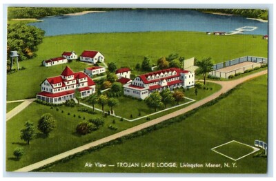 Air View Trojan Lake Lodge Livingston Manor New York NY Vintage Postcard