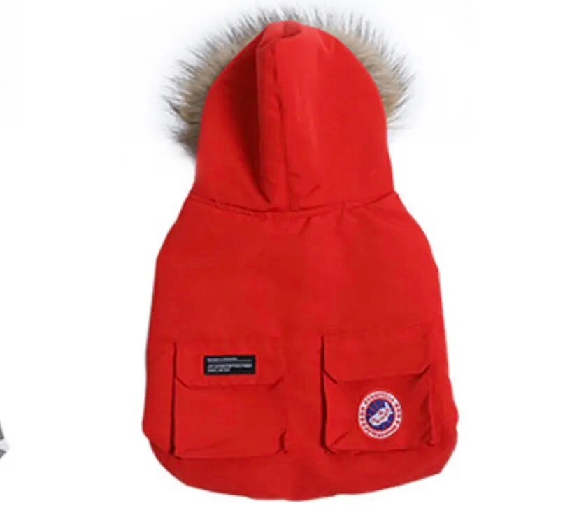 Designer Dog Coat Canada Goose Style Dog Coat Jacket Luxury Dog Coat