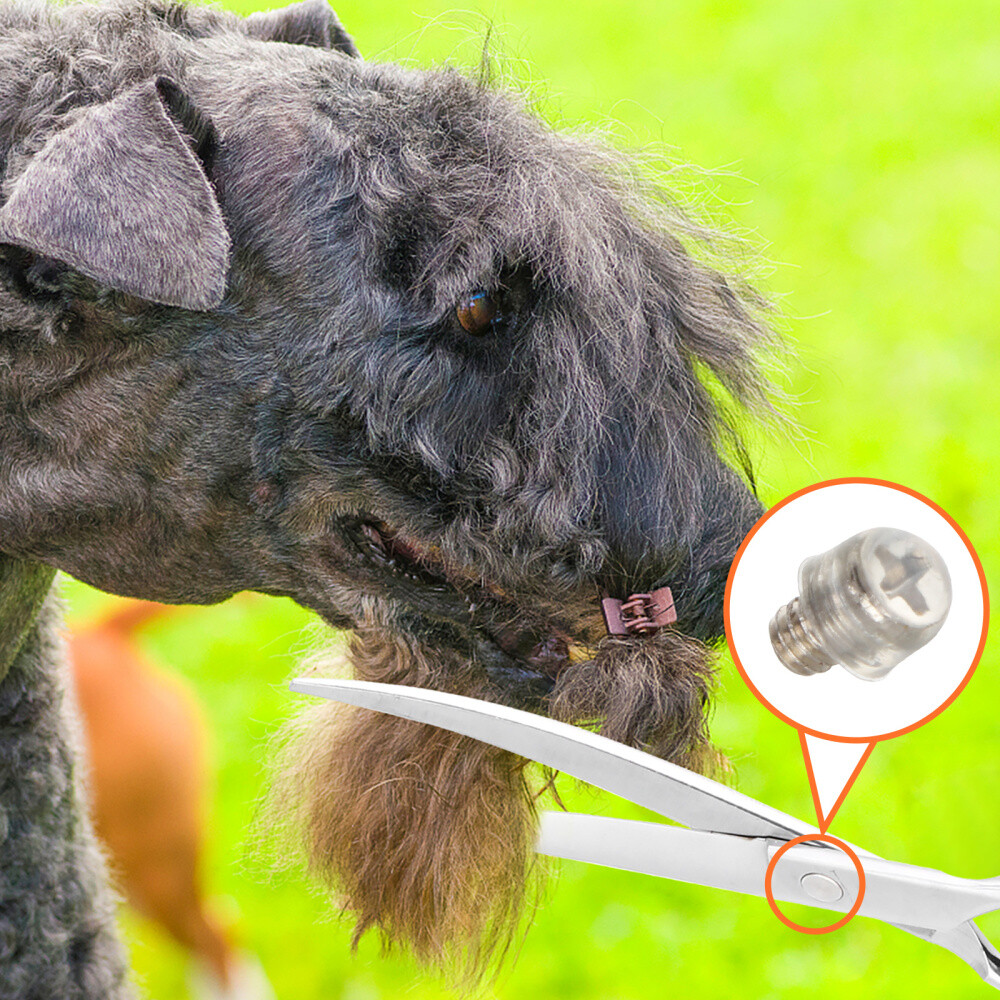 10 Pezzi Pratici Silenziatori per Taglio Peli Animali Domestici Accessori Ferro in Gomma foto 2