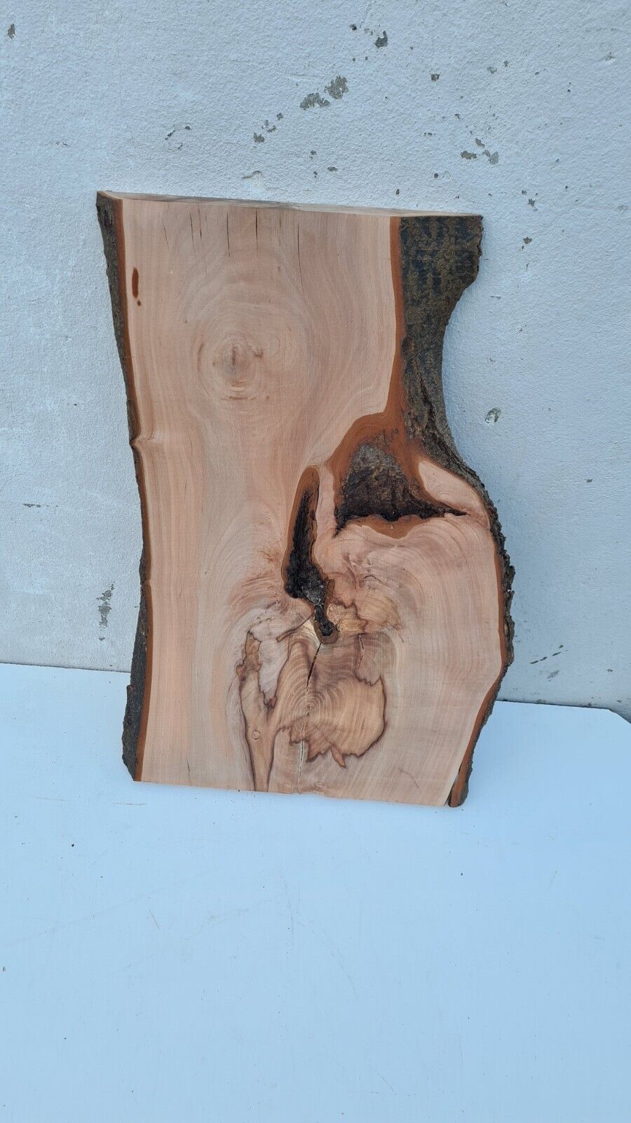 Bild 201 von 219