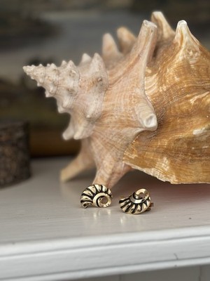 Vintage Ohrringe Clip On Sea She ll Motiv 80er Jahre goldfarben Metall Modeschmuck