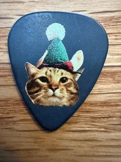 THE WARNING #1 / TOUR GUITAR PICK