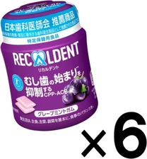 Mondelez Recaldent Grape Mint Gum Bottle 135.2g x 6 Pack Sugarless Japan