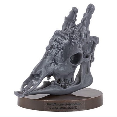 SO-TA Street Museum Special Exhibition: Plant-Based Food 6. Giraffe (Gray) (Sing