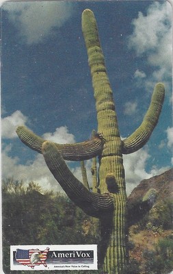 TK 60a Telefonkarte/Phonecard USA Amerivox Saguaro Cactus