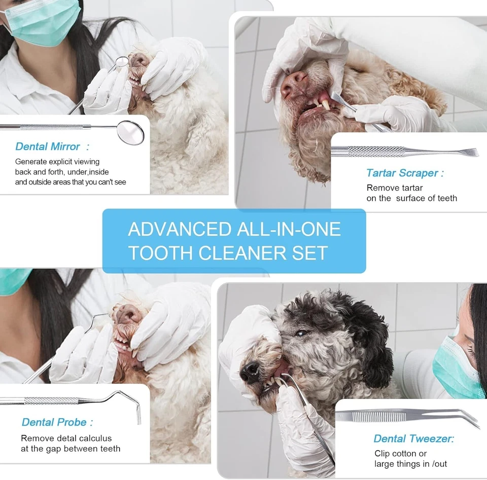 Juego de cepillo de dientes limpiador de dientes ultrasónico removedor de placa para perros mascotas Foto 2 de 4